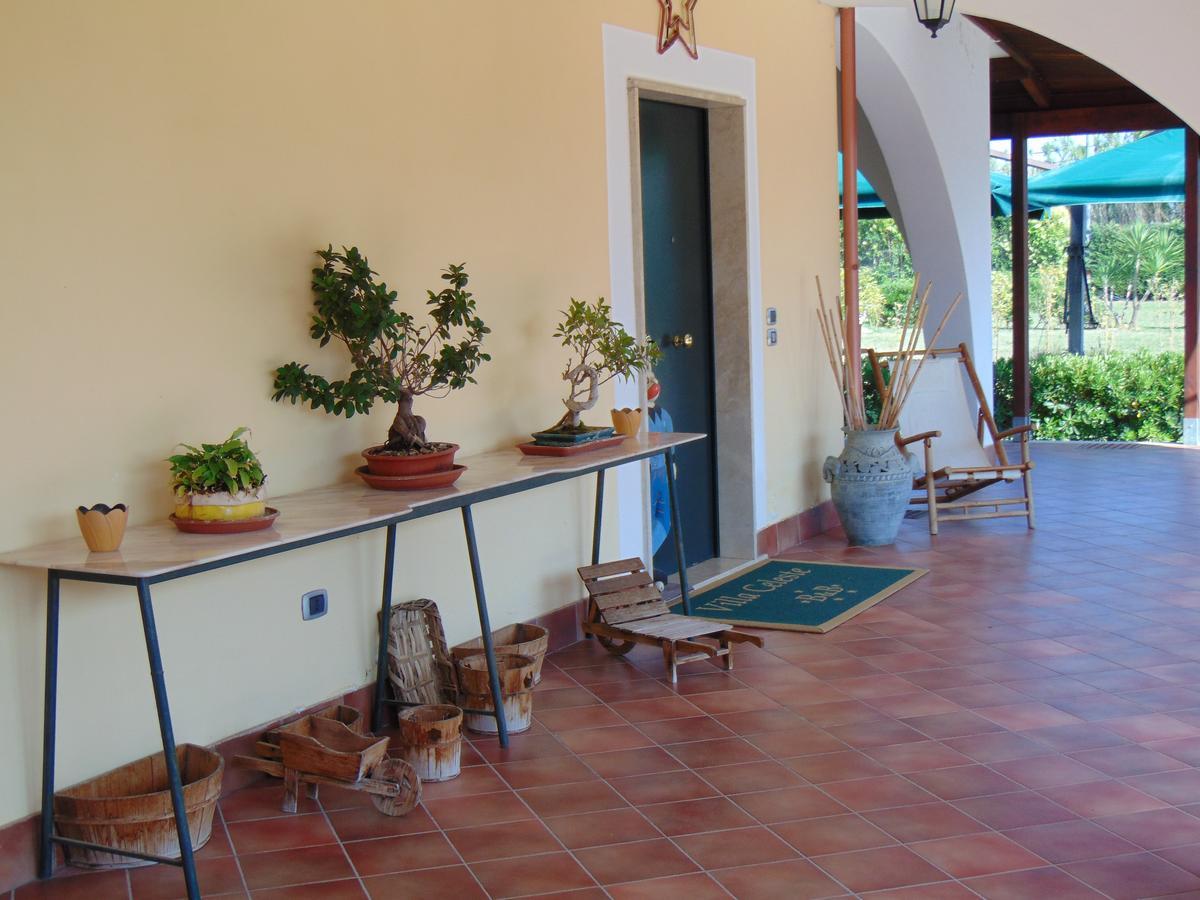 Villa Celeste B&B Pontecagnano Faiano Exterior foto